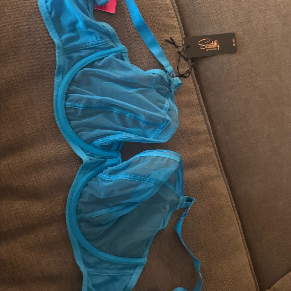 Blue Sheer Bra